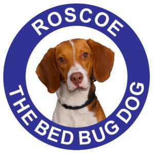 Roscoe The Bed Bug Dog Is Here To Help Camp Familes