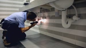 Bell Environmental Technician providing pest control inspection of a commercial office